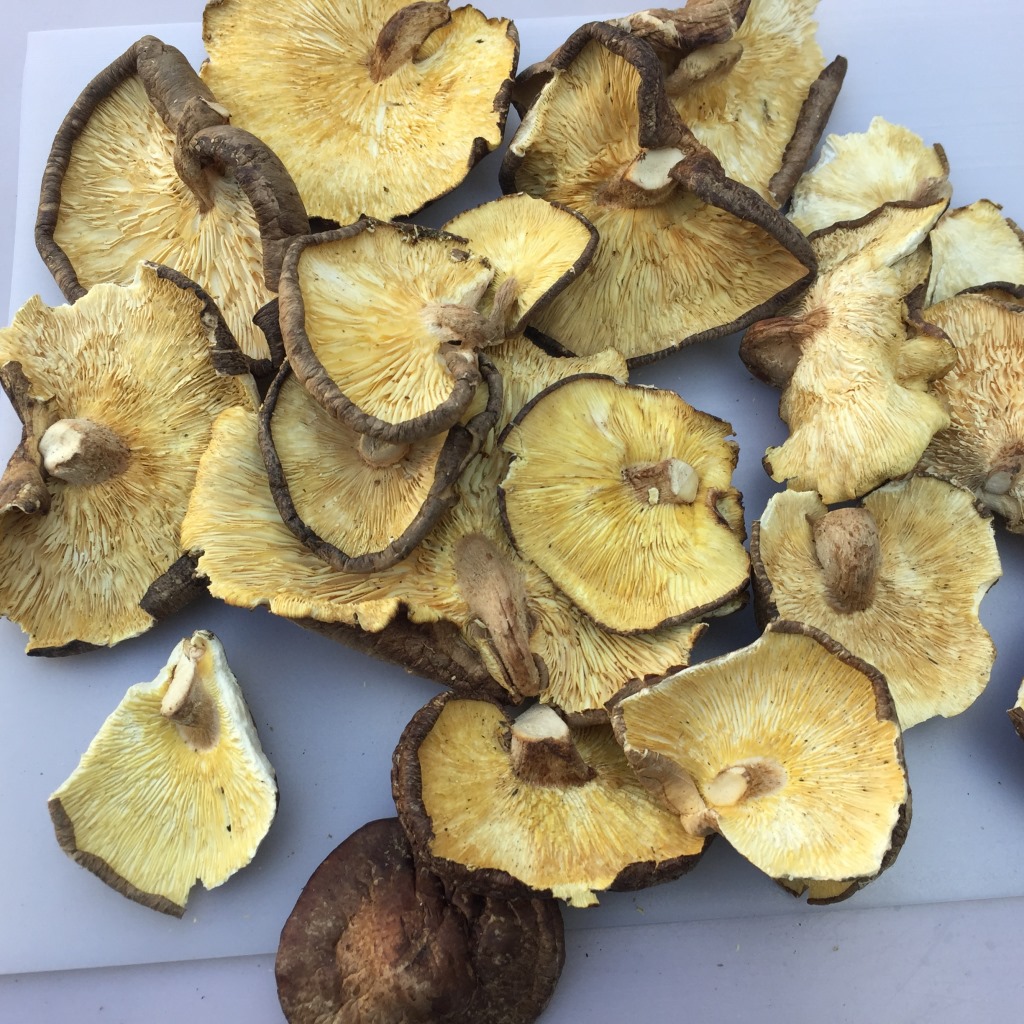 Large Cup of Mushrooms Xixia Shiitake Mushrooms New Arrival Shiitake Mushrooms Large Dried Shiitake Mushrooms Fragments Household Large Mushroom Dry Goods 500g Wholesale