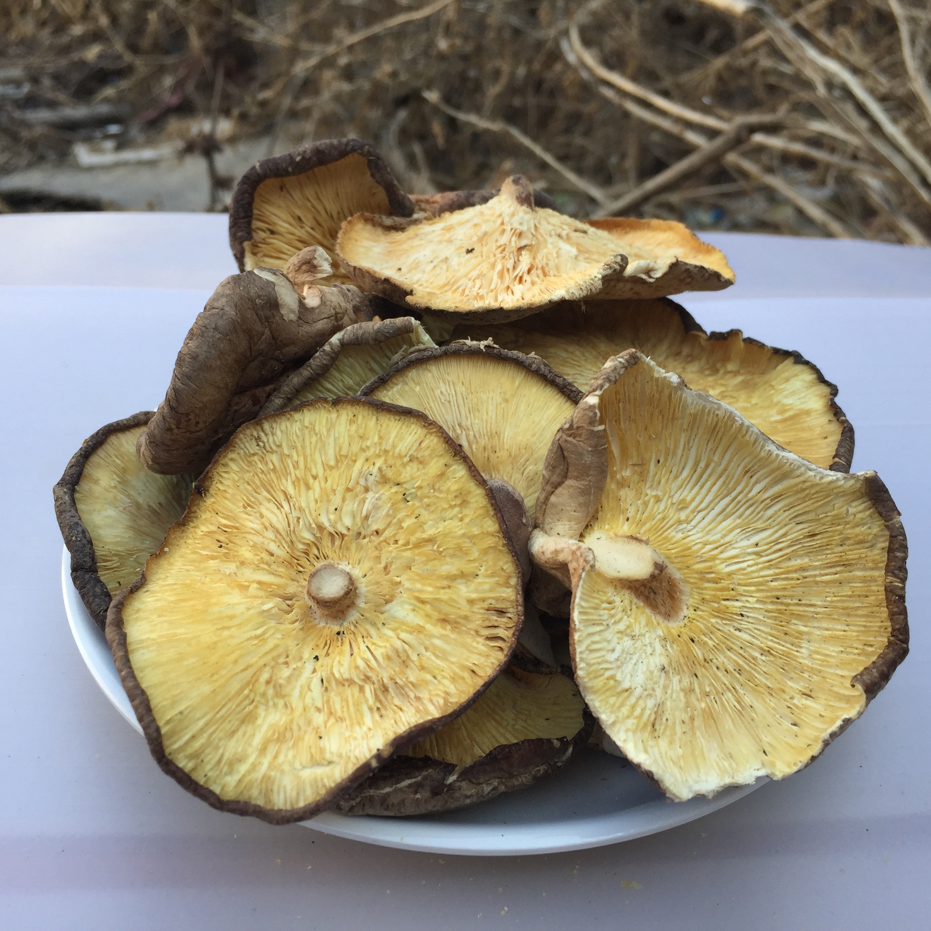 Большая упаковка сушеных шиитаке 500г, новые поступления, домашние грибы, оптовая продажа