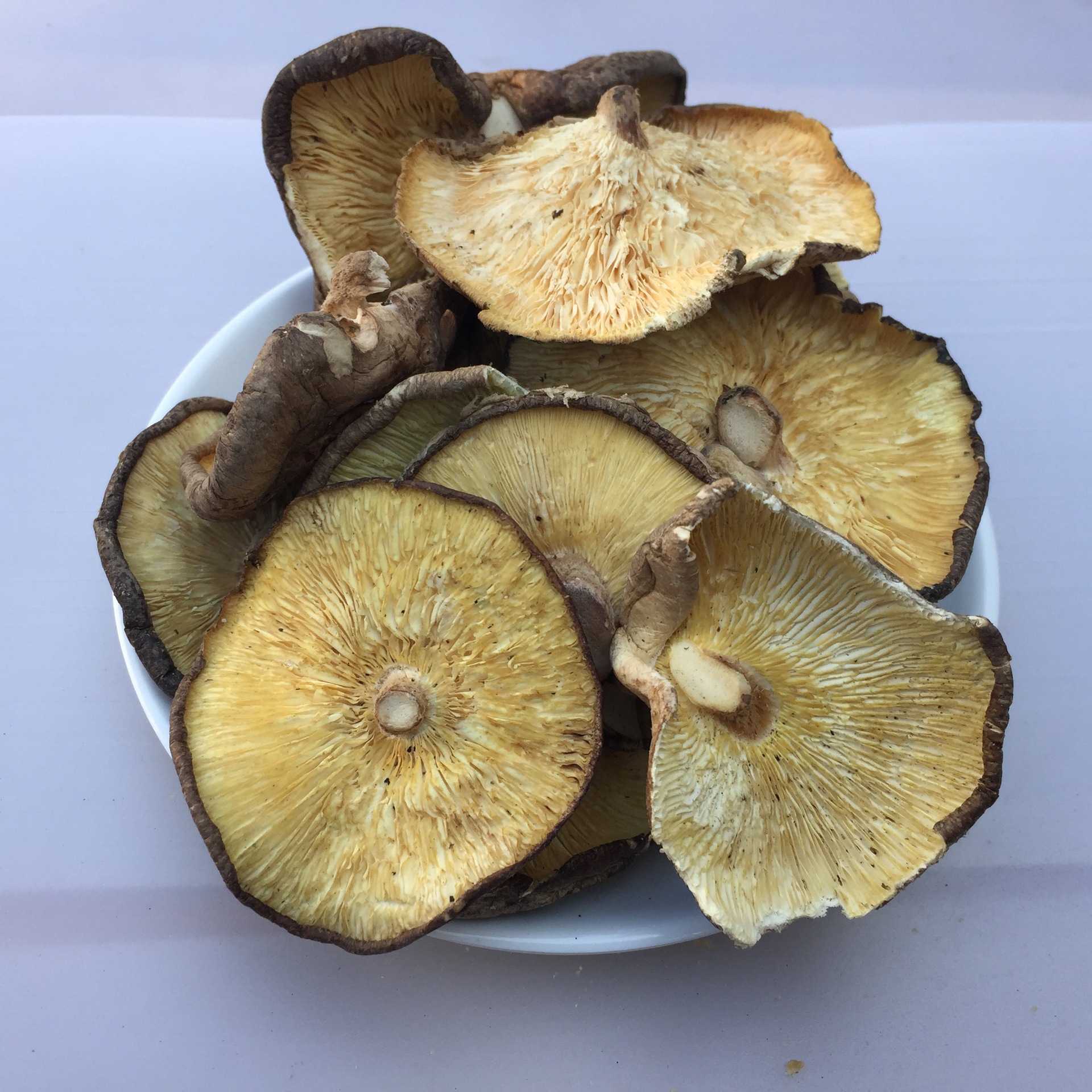 Large Cup of Mushrooms Xixia Shiitake Mushrooms New Arrival Shiitake Mushrooms Large Dried Shiitake Mushrooms Fragments Household Large Mushroom Dry Goods 500g Wholesale