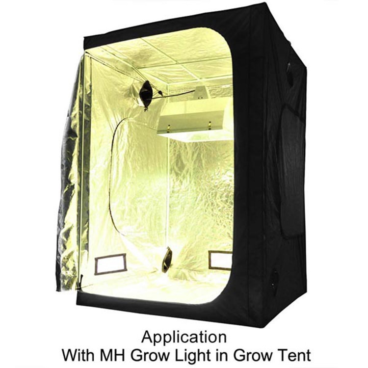 Europe and the United States hot selling MH single-ended metal halide lamp greenhouse hydroponic plant growth fill light lamp lighting metal halide lamp