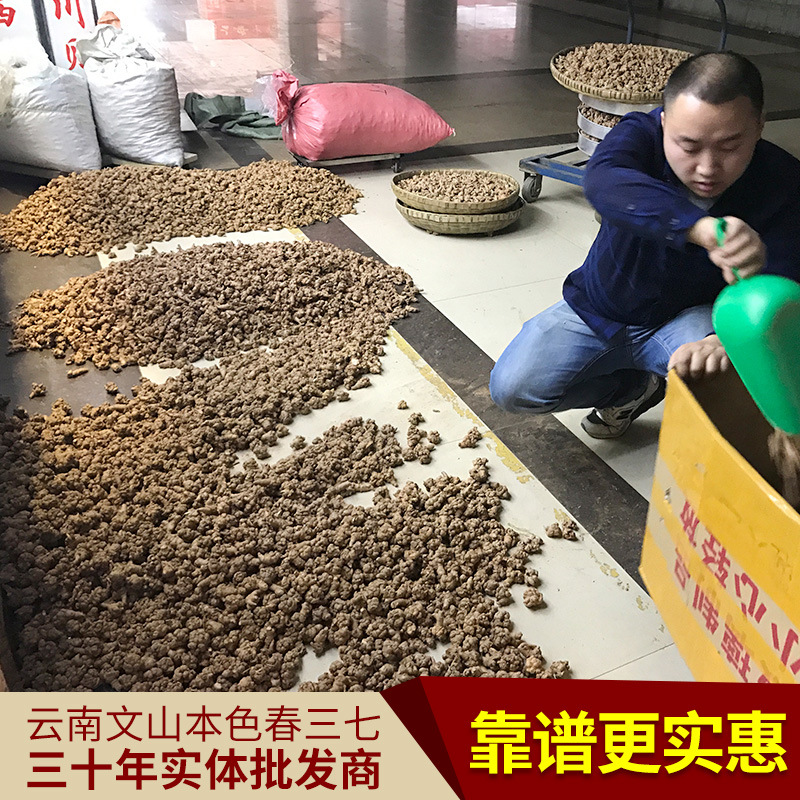 Yunnan Wenshan notoginseng wholesale 20 head 30 head 40 head 60 head specifications (head number refers to how many 500 grams)