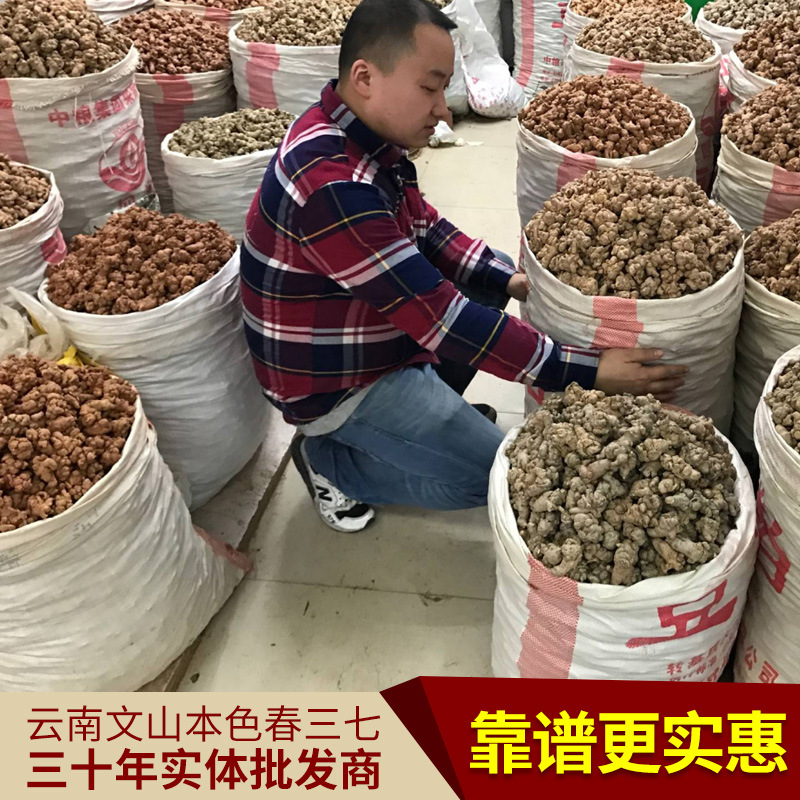 Оптовая продажа Юньнань Вэньшань нотогинсенга 20 голов 30 голов 40 голов 60 голов