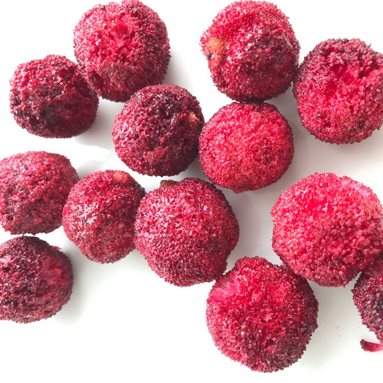 Freeze-dried bayberry dried factory in stock wholesale net weight various specifications bubble bayberry juice flower and fruit tea wholesale bayberry grains