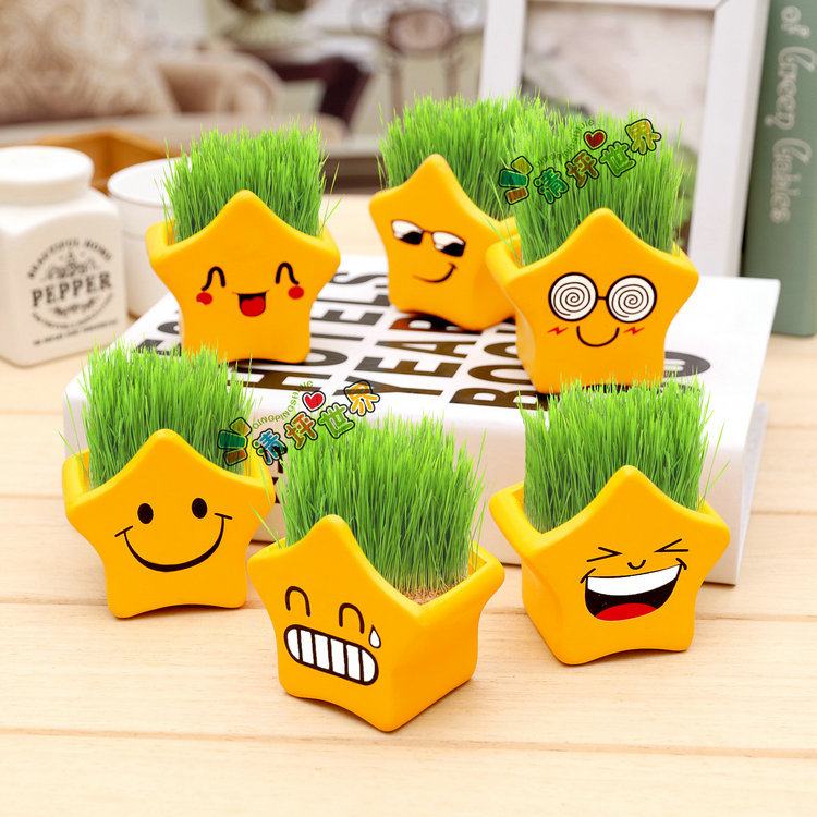 Cool expression DIY grass head doll micro landscape interesting plant students creative science and education observation mini potted plant