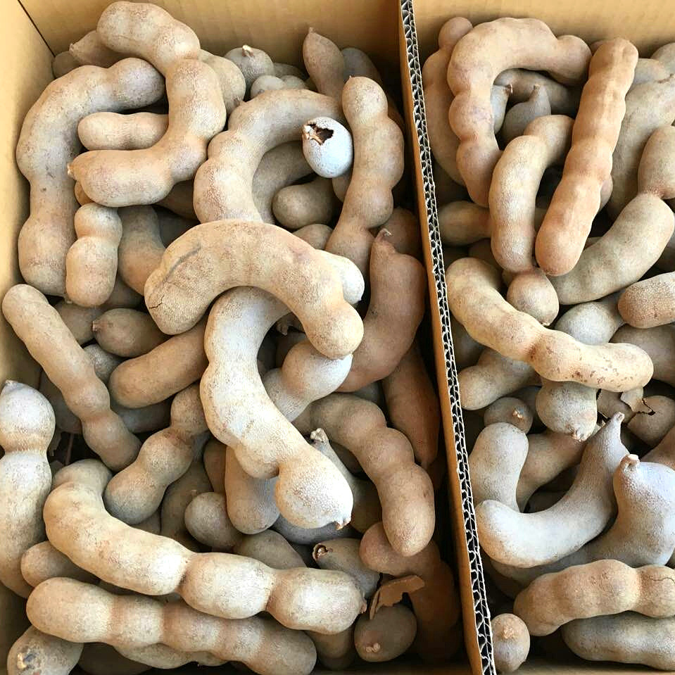 Wholesale Big Sweet Corner Xiangpai Shunpai Yiguo Big Curved Corner 9kg Large Quantity, Favorable Price, Free 4 Digital Recordings