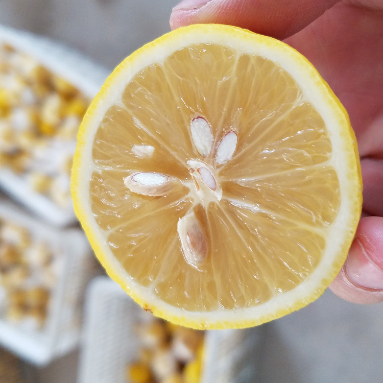 Wholesale Anyue Lemon Fruit Fresh Yellow Lemon First-Class Medium Fruit 0.5kg about 4-5 Pieces Eureka 2.5kg Starting Price