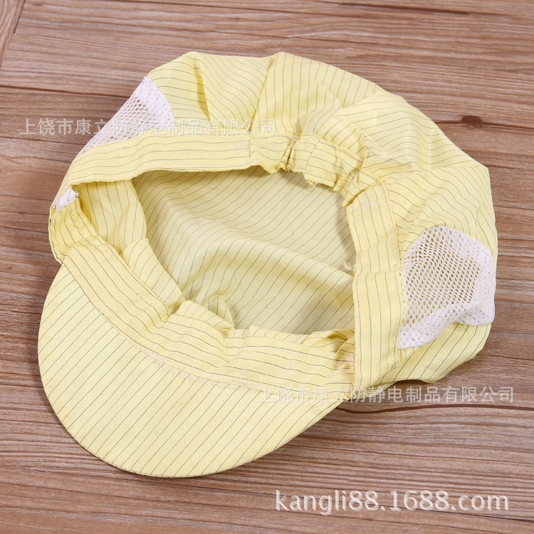 Anti-static hat clean cap small work cap dust-free workshop work cap (small work cap) Wholesale and Retail