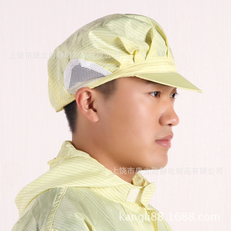 Anti-static hat clean cap small work cap dust-free workshop work cap (small work cap) Wholesale and Retail