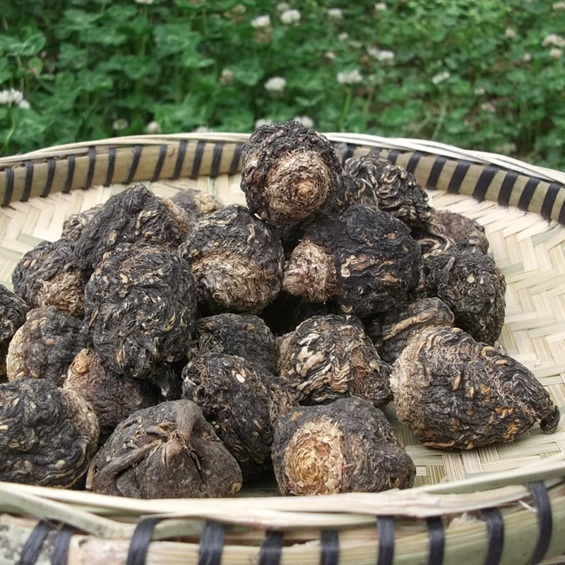 Maca dried fruit Yunnan Huize Lijiang specialty in stock black Maca gift maca fruit large quantity is better