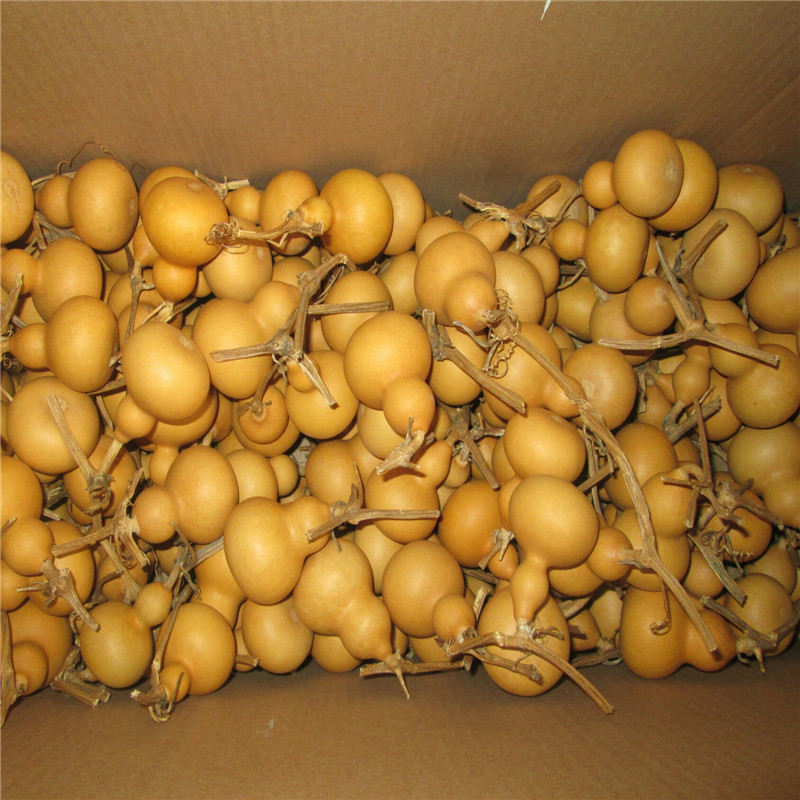 Долгосрочная оптовая продажа мелкой тыквы, ручная скрутка, текстовые игры, тыква, высококачественная натуральная мелкая тыква