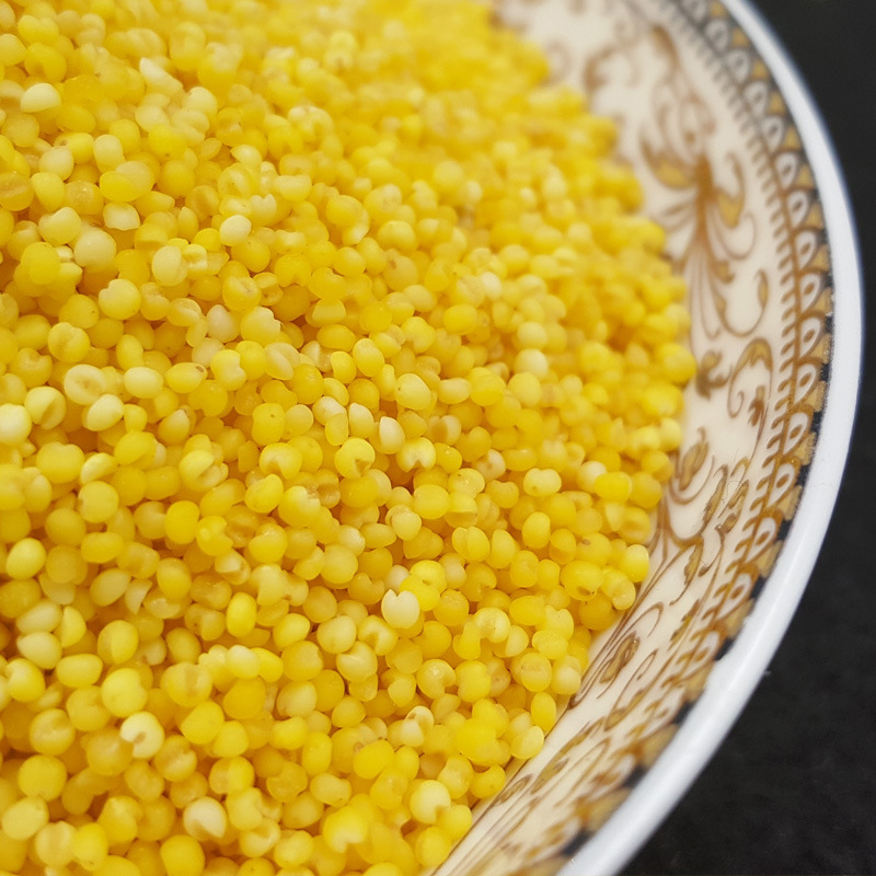 Yitian Cereals Organic Millet Yellow Millet Farm Cereals Millet Porridge Millet Wholesale