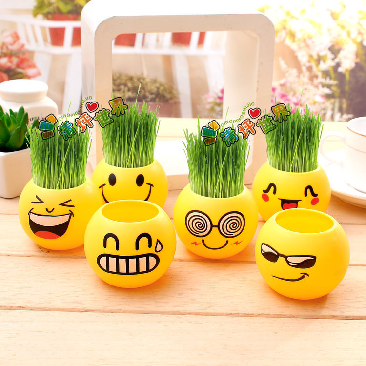 Cool expression DIY grass head doll micro landscape interesting plant students creative science and education observation mini potted plant