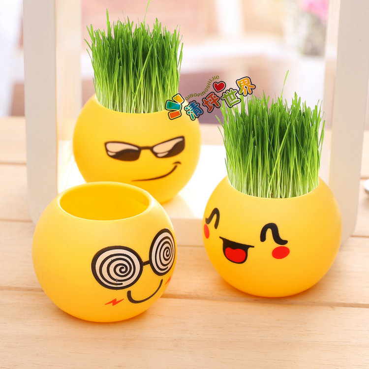 Cool expression DIY grass head doll micro landscape interesting plant students creative science and education observation mini potted plant