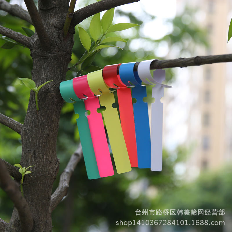 Gardening ring cover label label ring waterproof seedling sign orchid plant flower sign PVC tag