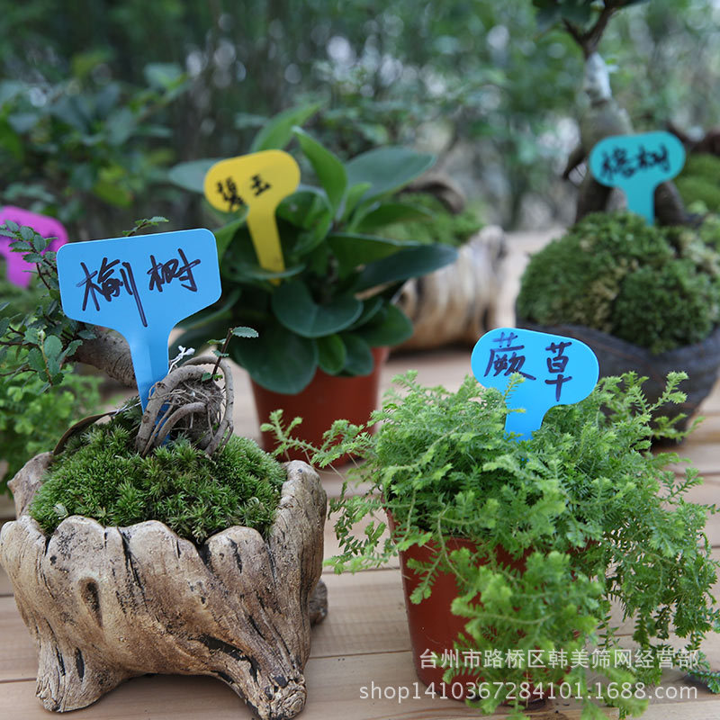 Printable Gardening Labels Plastic Ground Plant Labels/Three-Dimensional Labels/Flower Labels/T Type