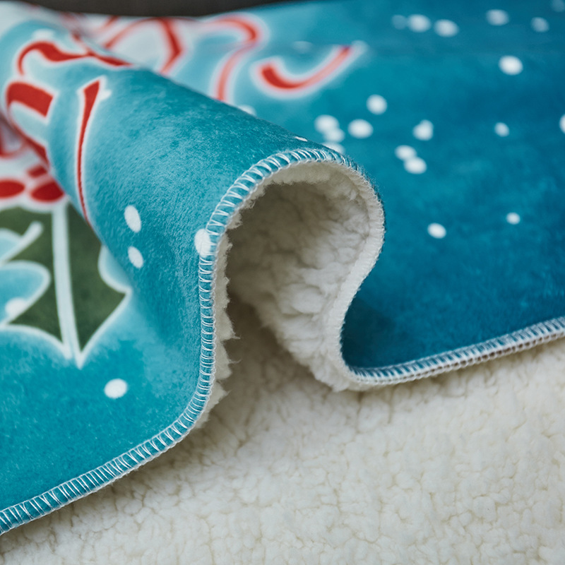 Cross-border new products listed lamb velvet blanket nap blanket Office skin-friendly baby blanket wholesale blanket factory