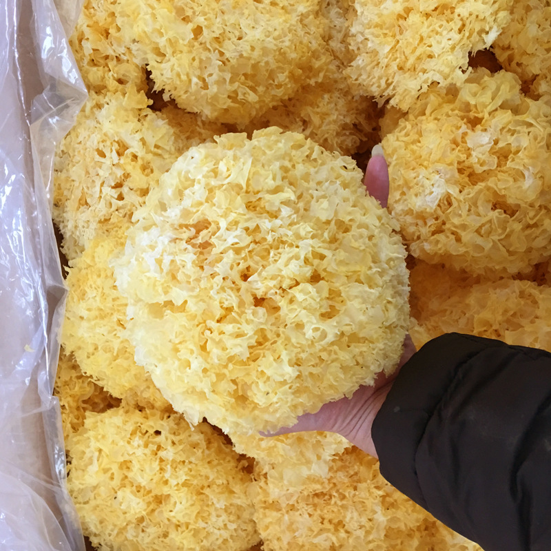 White Fungus big flower independent packaging silver ear dry goods snow ear non-ugly ear glutinous ear origin Gutian silver ear wholesale