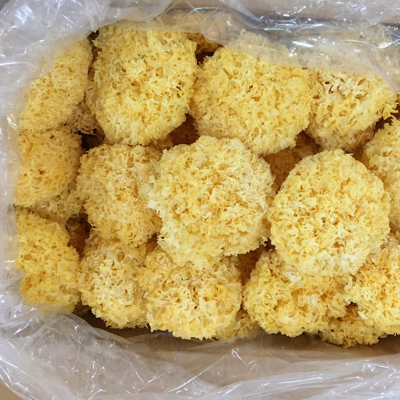 Tremella Gutian Tremella Sulfur-Free White Fungus Wholesale Tremella Bulk Wholesale 500g Tremella Wholesale