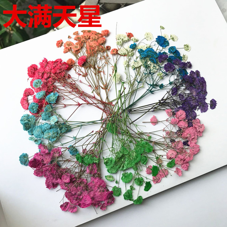 Сухие цветы DIY вечные цветы для открыток закладки эмбоссинг реальный цветок