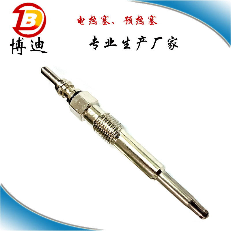 Direct Supply Double Wire Glow Plug Glow Plug 0250202022 0100226227