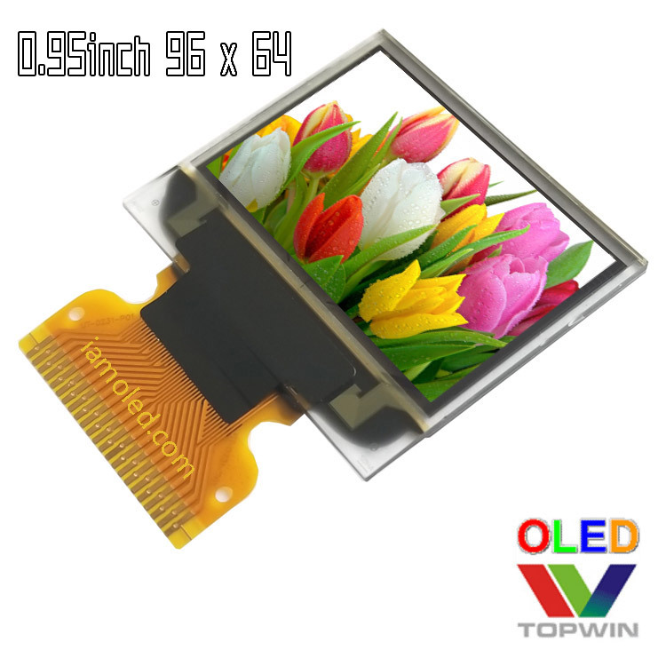 Tuowei 0.95inch Colorful 65K Colorful Oled Screen Lcd Screen 964Hddag01 Low Temperature Resistant 23 Pins Highlight