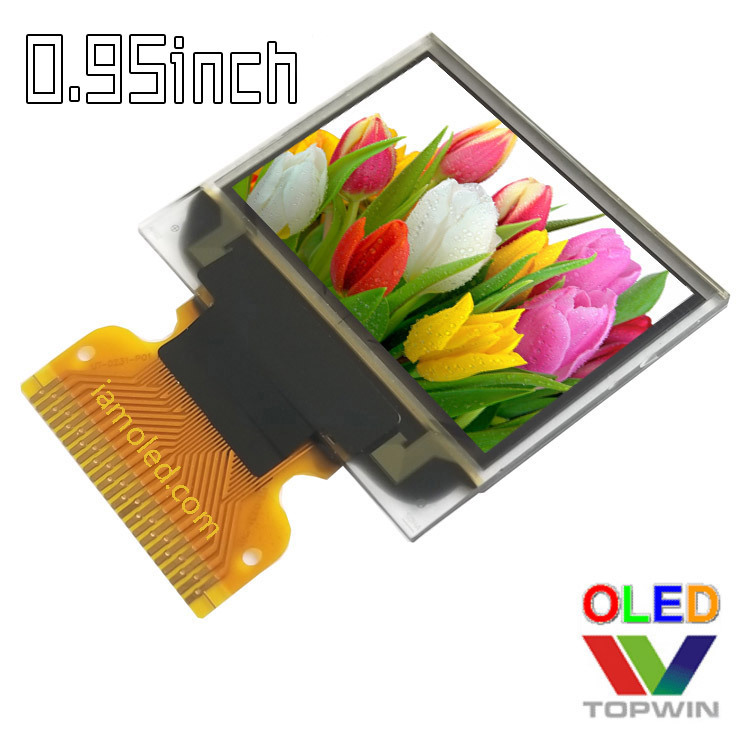 Tuowei 0.95inch Colorful 65K Colorful Oled Screen Lcd Screen 964Hddag01 Low Temperature Resistant 23 Pins Highlight