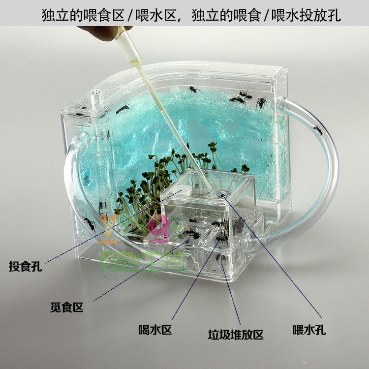 Funny creature Ant Workshop Ant Villa home castle children's educational toys children's toys scientific toys