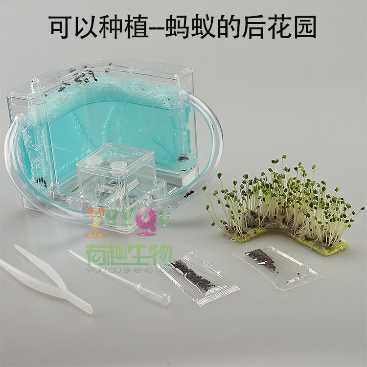 Funny creature Ant Workshop Ant Villa home castle children's educational toys children's toys scientific toys