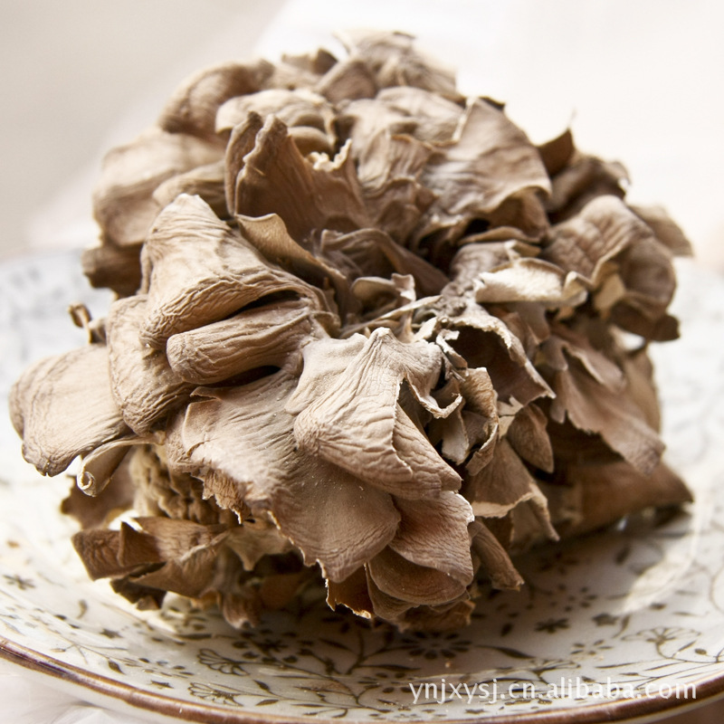 Оптовая продажа съедобного гриба грифа фрондо сушеный грифа фрондо грифа фрондо грифа фрондо грифа фрондо оптовые цены на грифа фрондо