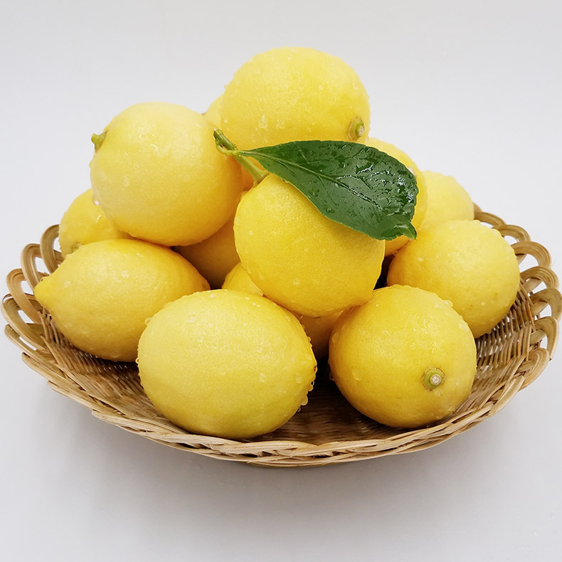 Sichuan Anyue Lemon Fresh Grade I Fruit Fresh Yellow Lemon Eurek Lemon Wholesale 5kg Available in Large and Large