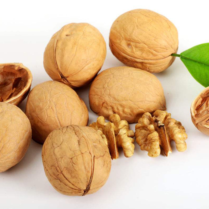 Dropshipping Walnut Xinjiang Paper-Skinned 185 Walnut Original Dried Fruit Food Wholesale Thin-Skinned Walnut