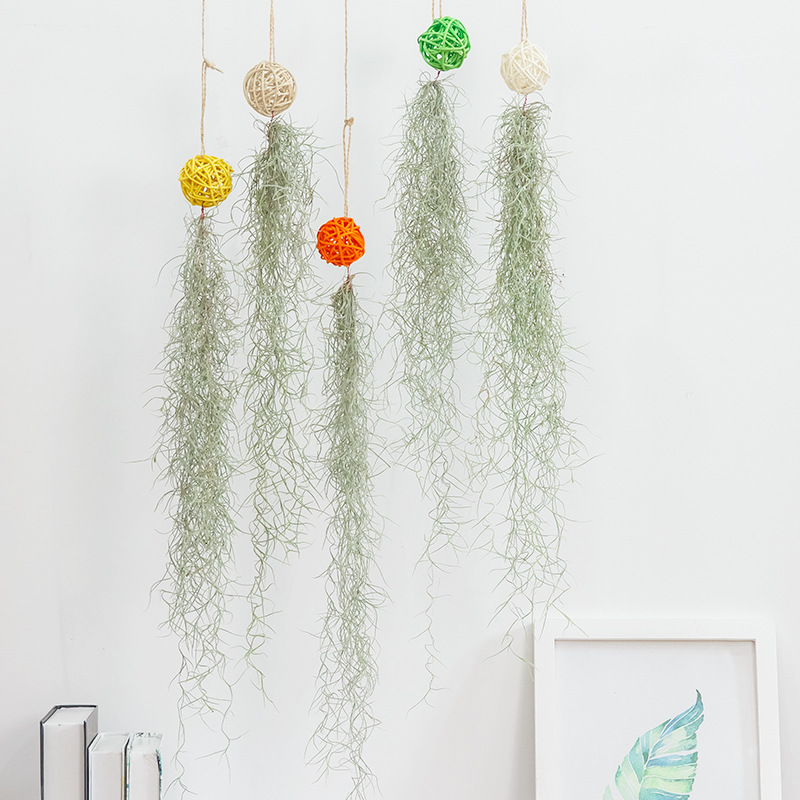 Комбинация уснея бороды старика - прямые поставки с фабрики, базовая доставка, воздухопроницаемый ананас, безземельное, ленивый тилландсия, новинка, оптовая продажа