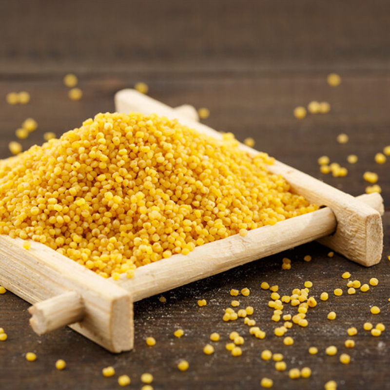 Xinmi Furun Dongfang Inner Mongolia Chifeng Dajin Miao Yellow Millet Cereal Porridge 2kg Gold Miao Millet 1kg