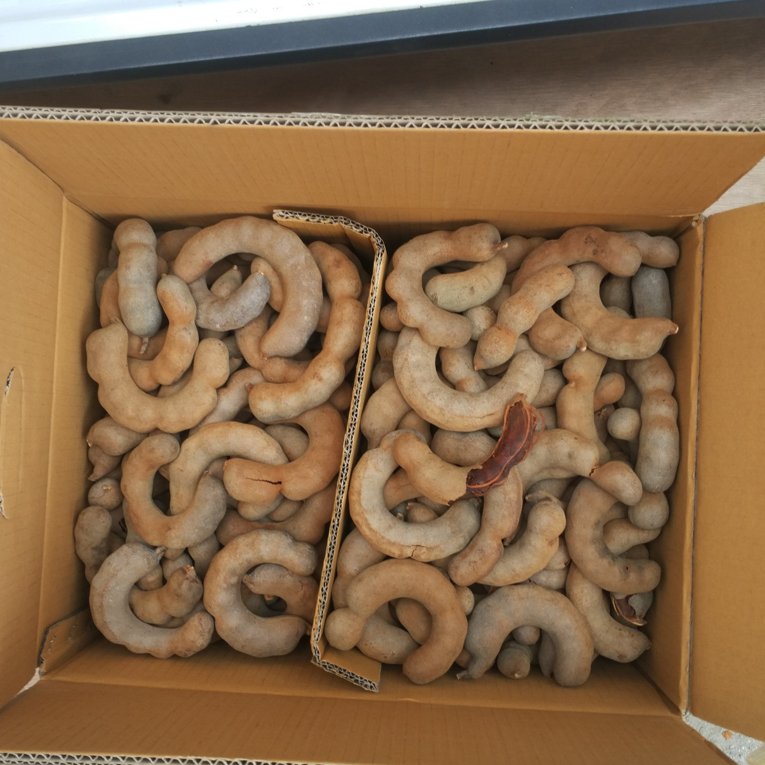 Оптовая продажа большого сладкого угла Сянпай, Шунпай, Игуо большой изогнутый угол 9кг, большие объемы, выгодная цена, бесплатные 4 цифровые записи