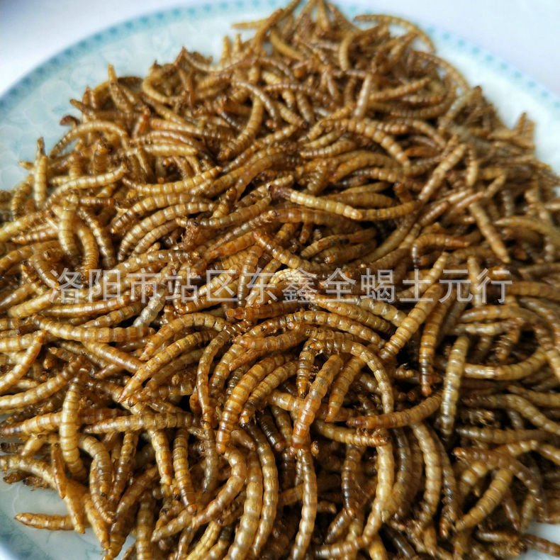 Freeze-Dried Mealworms, Pet Snacks, Mealworms, Mealworms, Breeding Turtles, Birds, Fish, Pet Food