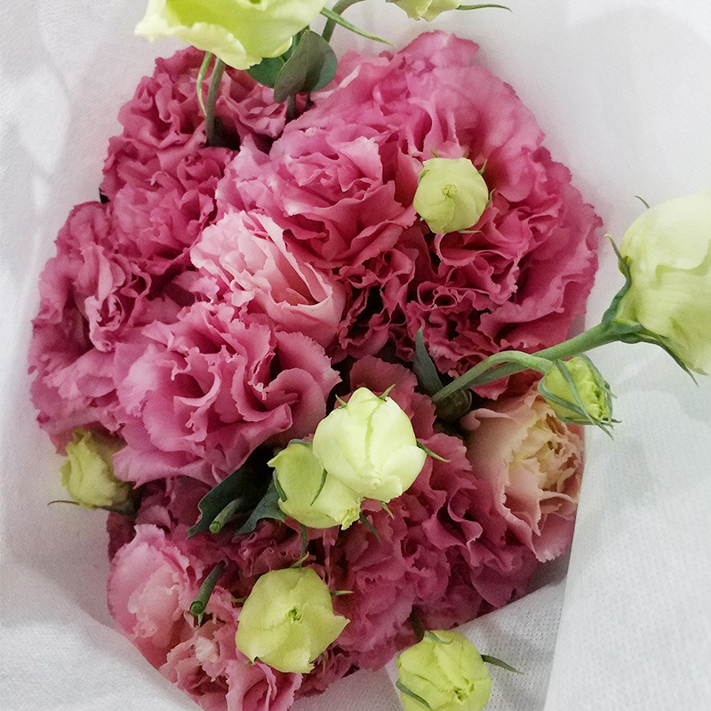 Lisianthus Flowers Yunnan Kunming Gentian Flower Shop Stall with Flowers Dounan Base Wholesale