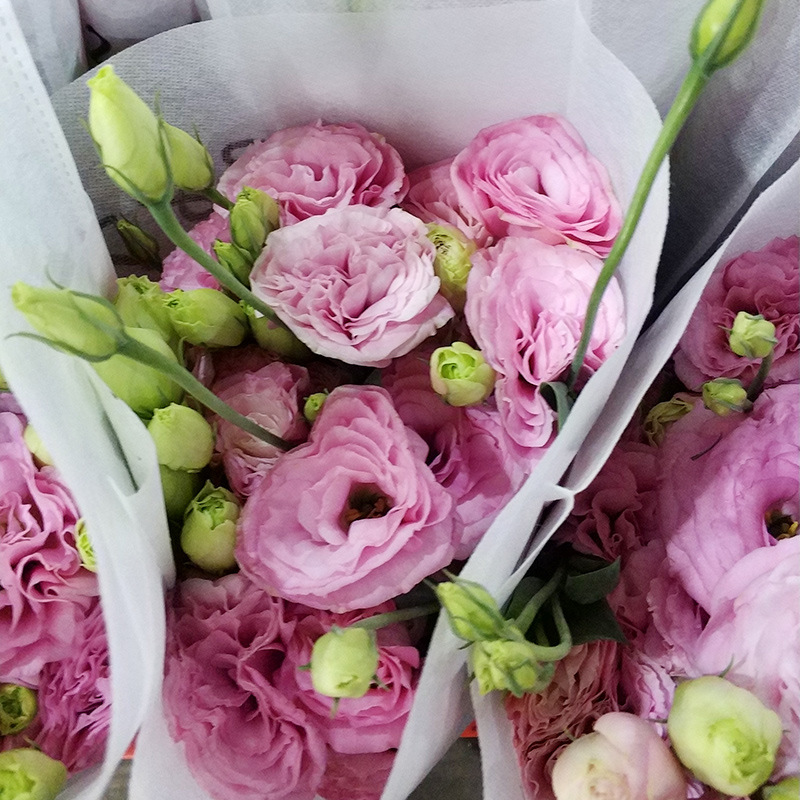 Lisianthus Flowers Yunnan Kunming Gentian Flower Shop Stall with Flowers Dounan Base Wholesale