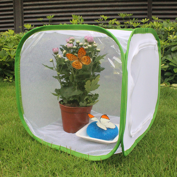 Manufacturer's Self-Sold Butterfly Cage Insect-Proof Net Butterfly Pet Cage Seedling Translucent Cultivation Box Foldableable Insect Cage