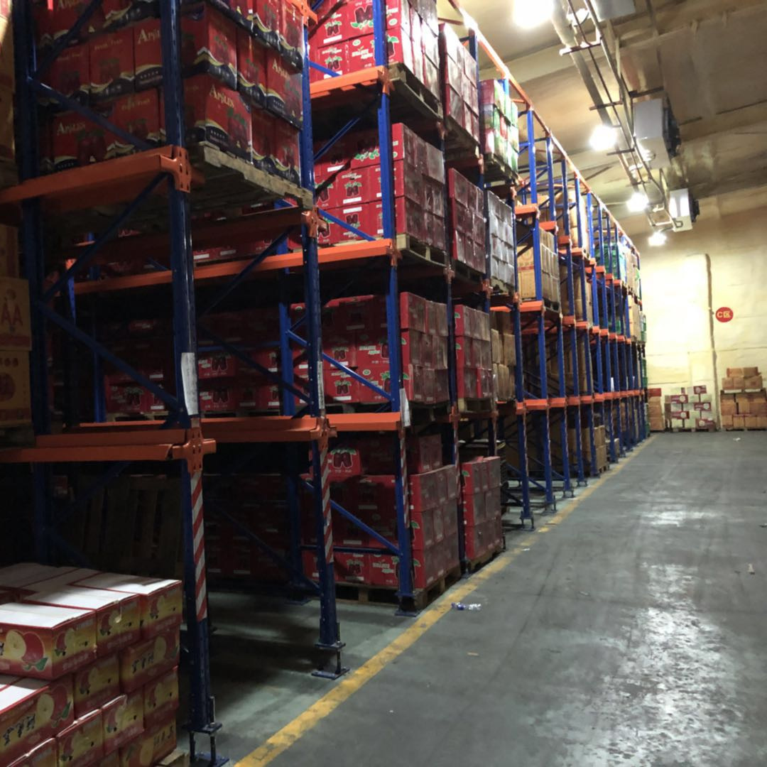 No stem black currant (Grade I) Uzbekistan dried fruit bulk wholesale natural drying