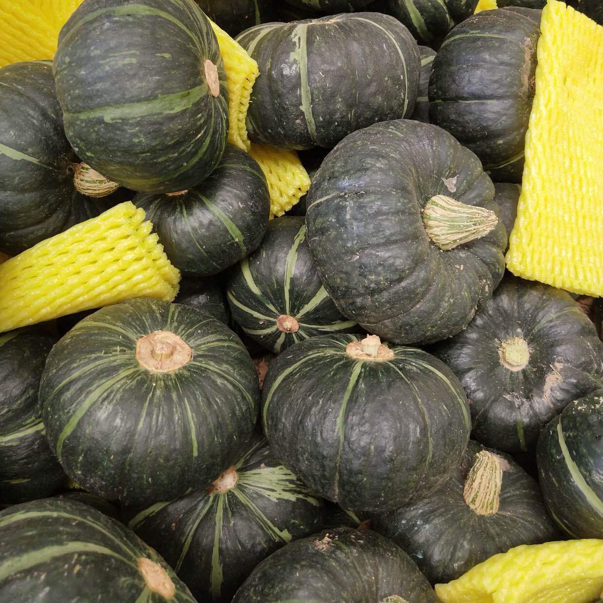 『Zhen Beibei Water Melon Packed』 Beibei Little Pumpkin Beibei Pumpkin Chestnut Flavor Little Pumpkin Fresh Vegetable Fans