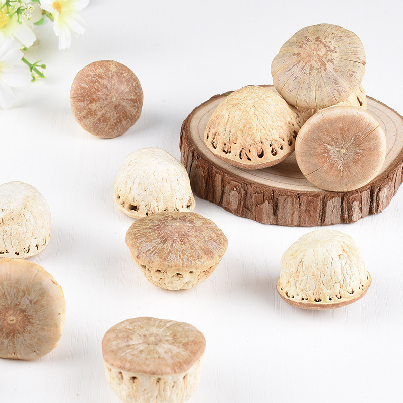 Wholesale Spot Insect-Free Fengliu Fruit Large Goods Guantouzi High-Quality Wine Soaking Material Sao Tou Turtle One Piece Dropshipping