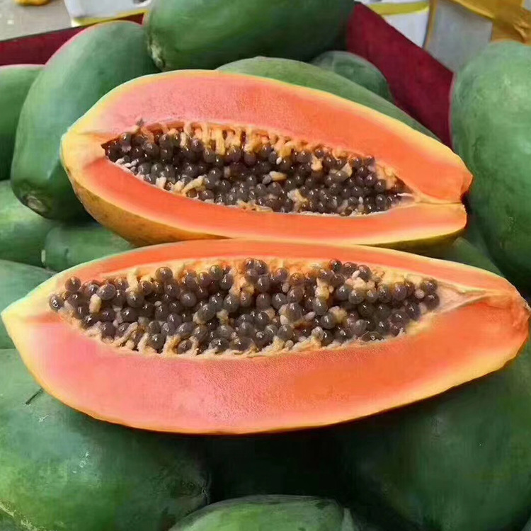 Dropshipping Fresh Fruit Rock Sugar Red Heart Green Papaya Seasonal Fruit Green Peel Papaya 4.5kg Now Picked and Shipped