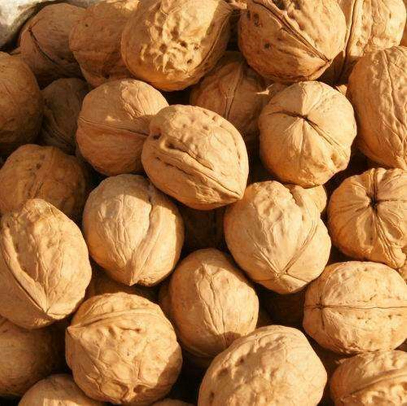 2025 New Arrival Paper-Skinned Walnuts, Wholesale Nuts, Snacks, 185 Paper-Skinned Walnuts, Original Flavor Walnuts 500g