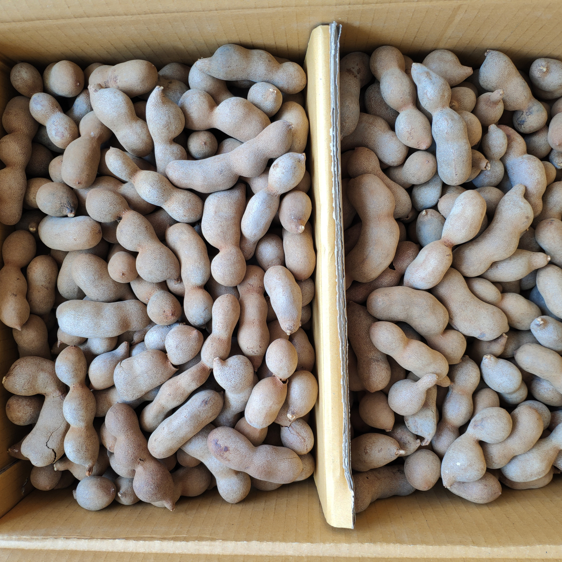 Full Box of 10kg Lihui Small Right Angles, Sweet and Sour Beans, Tamarind Fruit, E-Commerce Direct Supply, Drop Shipping