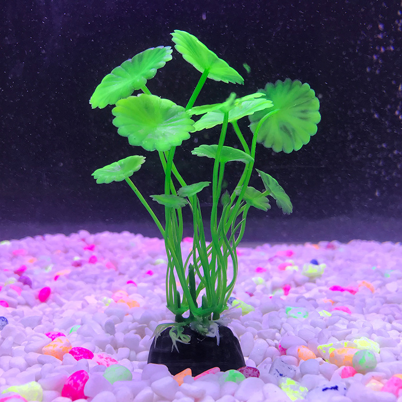 Fish Tank Decoration Simulated Aquatic Plants Plastic Seaweed Fake Aquatic Plants Aquarium Supplies Scenery Plant Source Manufacturer Hot Sale
