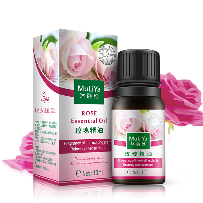 Essential Oil Mugwort Massage Essential Oil Plant Lavender Rose Essential Oil Cosmetics Factory Direct Sale
