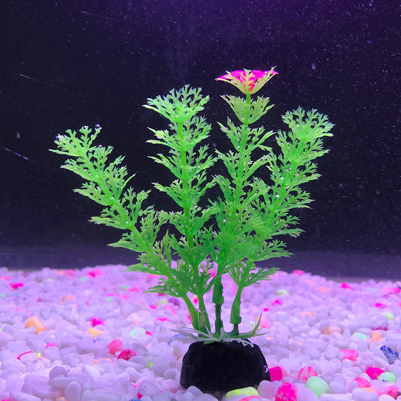 Fish Tank Decoration Simulated Aquatic Plants Plastic Seaweed Fake Aquatic Plants Aquarium Supplies Scenery Plant Source Manufacturer Hot Sale