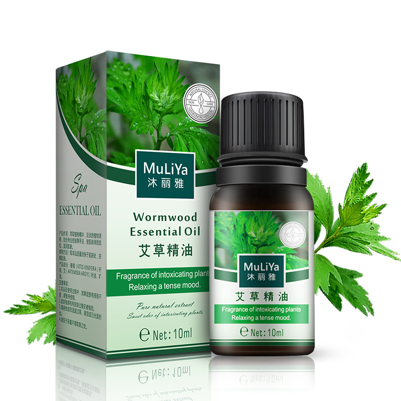 Essential Oil Mugwort Massage Essential Oil Plant Lavender Rose Essential Oil Cosmetics Factory Direct Sale