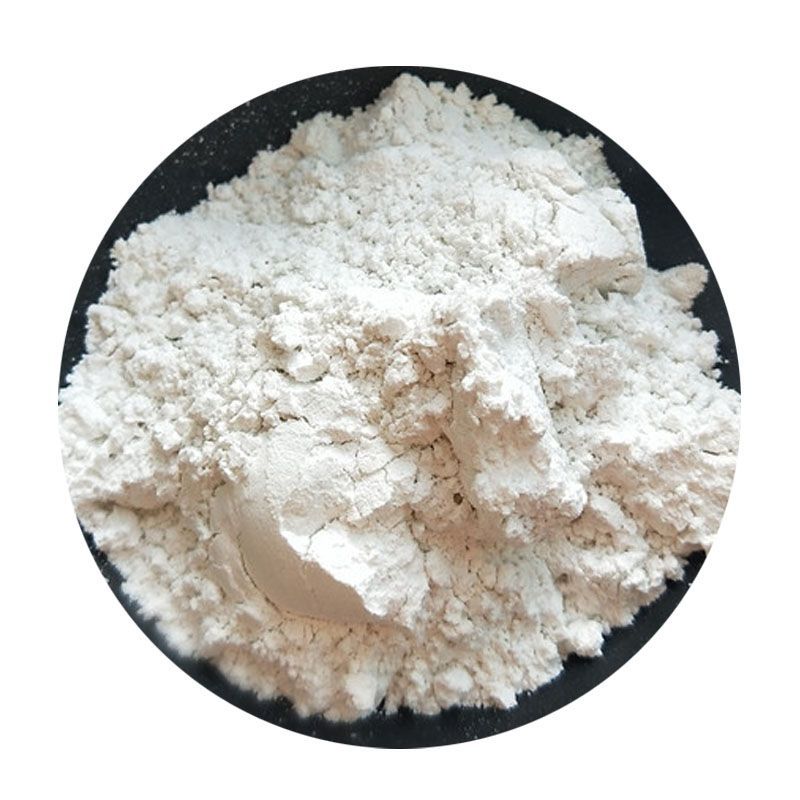 Supply of Diatomaceous Earth Industrial Grade Water Treatment Adsorption助滤剂白色硅藻土用于硅藻土颗粒涂料