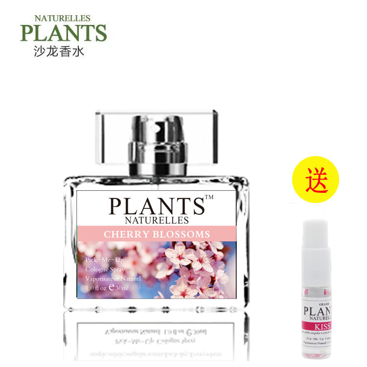 Perfume Manufacturer Wholesale Bulk Perfume Test Tube Sample Early Adopter Perfume Fresh Scent Roller Ball Perfume Cherry Blossom Fragrance